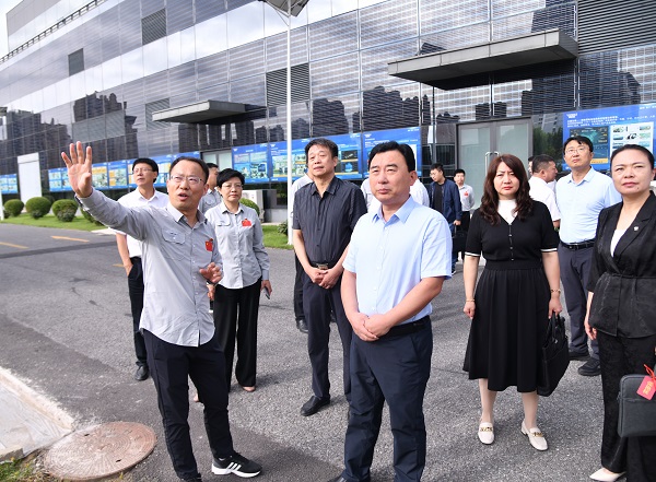 河北省全国人大代表到6165cc金沙总站集团开展专题调研